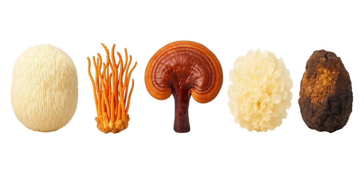 Pure Fungi